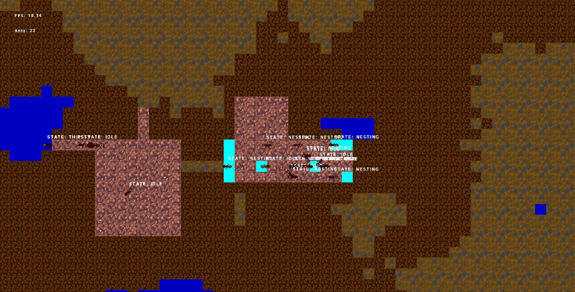 Ant Simulation (Zirhax)