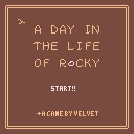 A day in the life of Rocky