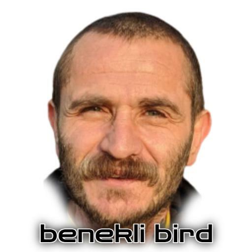 Benekli Bird
