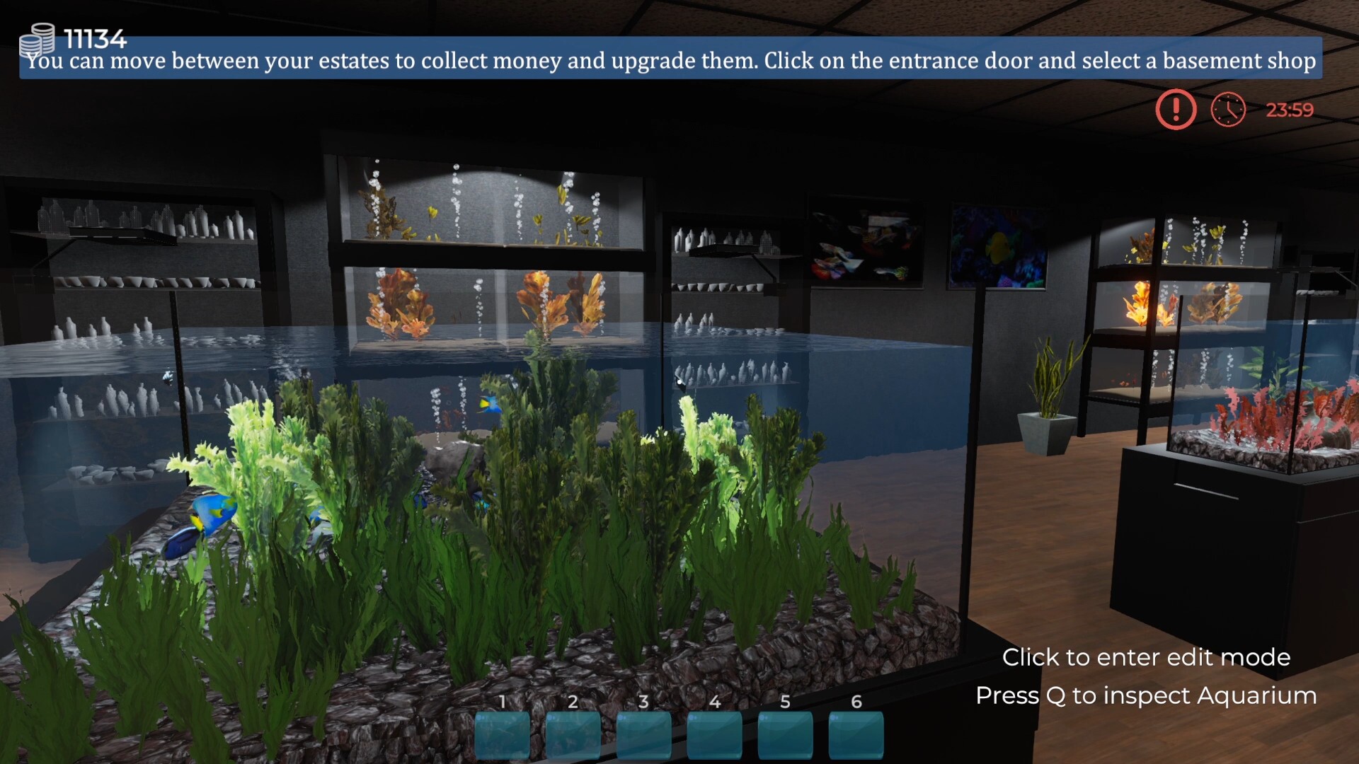 Feed and Grow: Fish - release date, videos, screenshots, reviews on RAWG