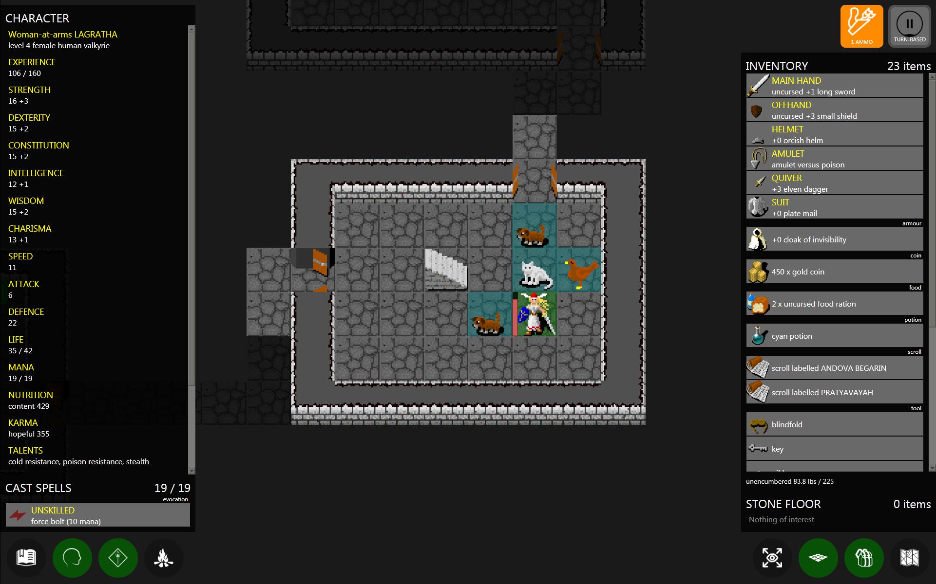 Pathos: Nethack Codex gameplay visual