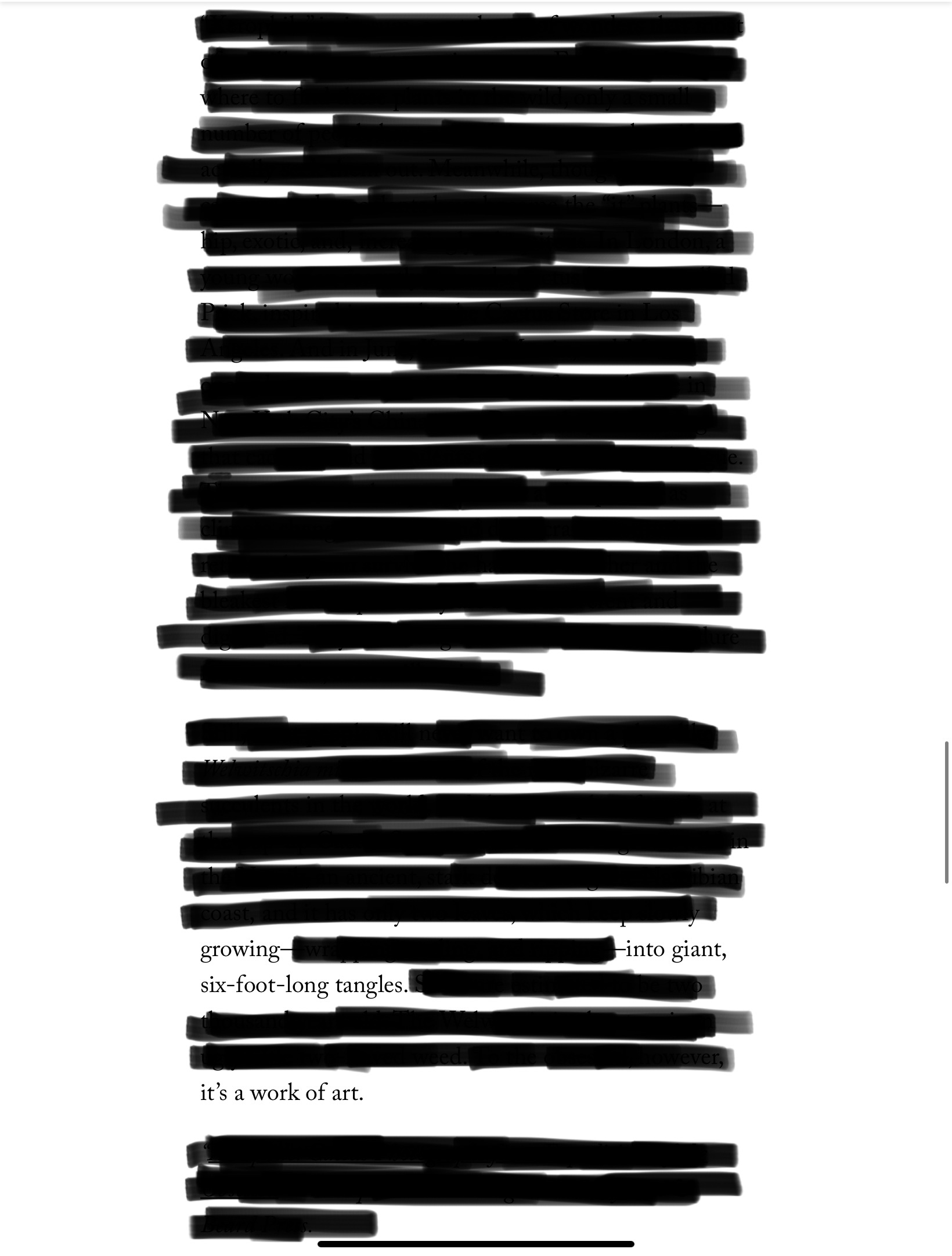 Individually Potted - A Blackout Poem