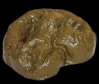 Goofy Ahh game (Osku dev)