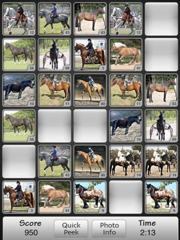 Horses Match Memory Game: Pair Up Horse Photos