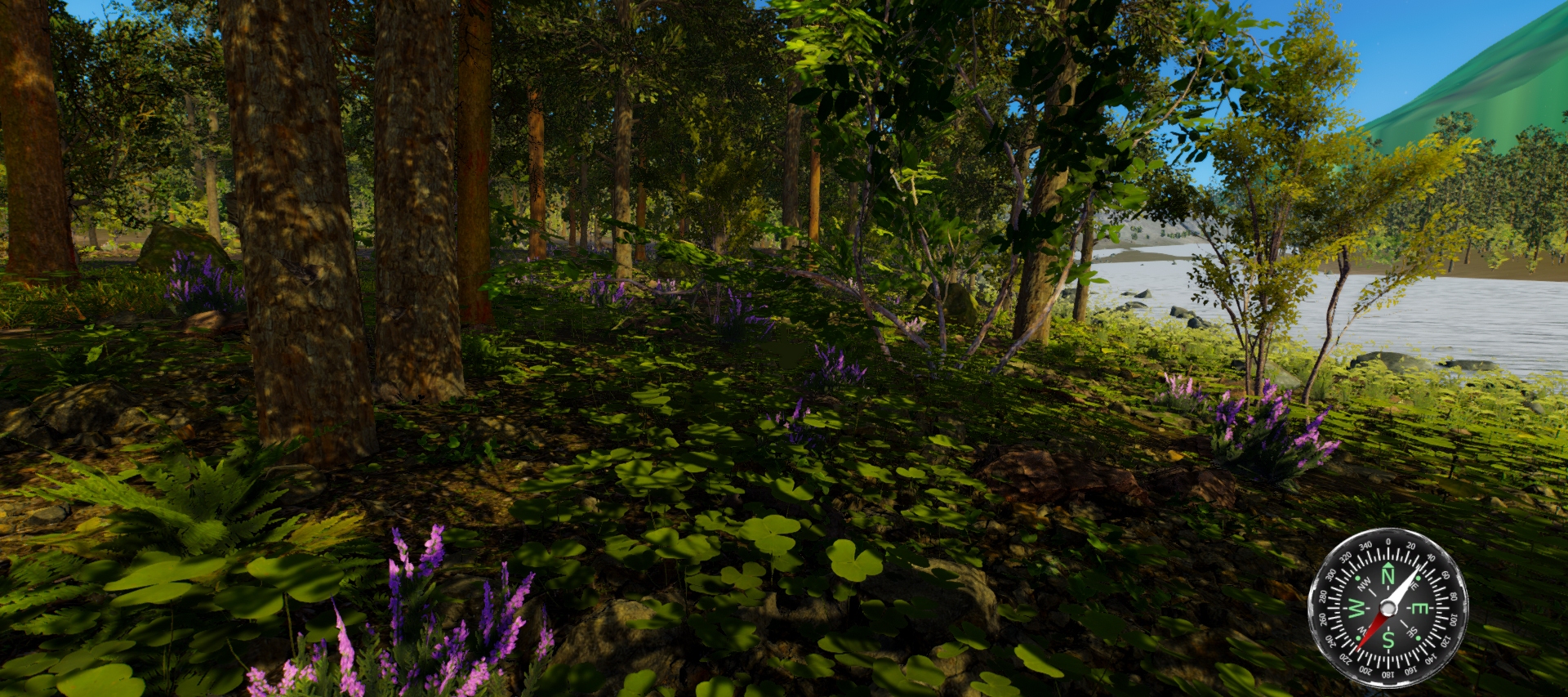 Pozar: Quest for Gold