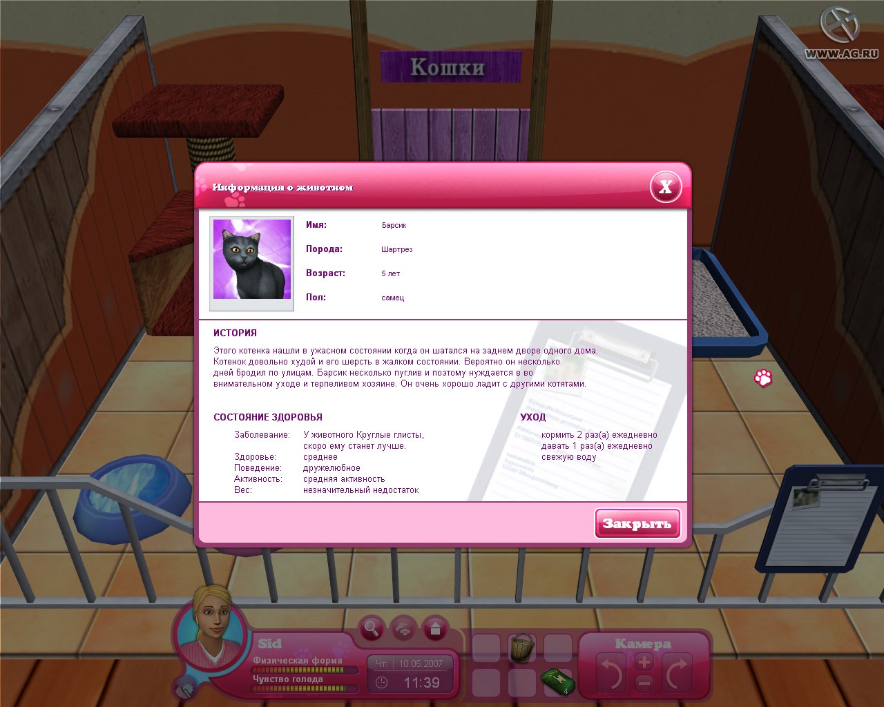 Mein eigenes Tierheim