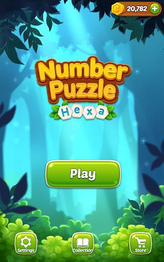 Number Puzzle Hexa