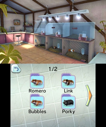 PET HOSPITAL
