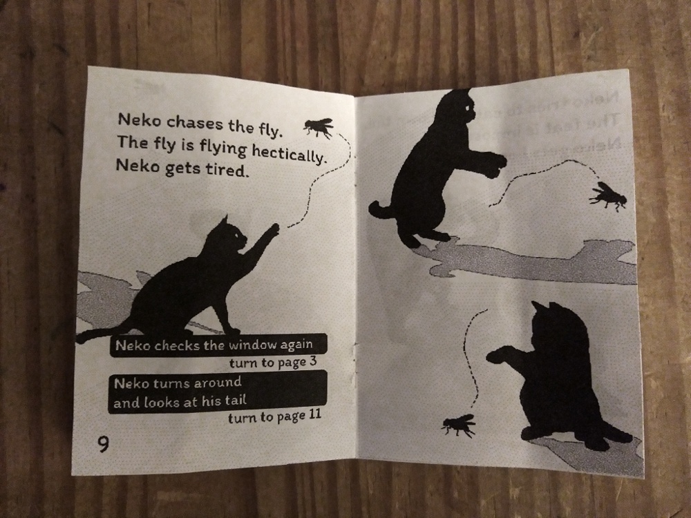 Neko - The Black Cat