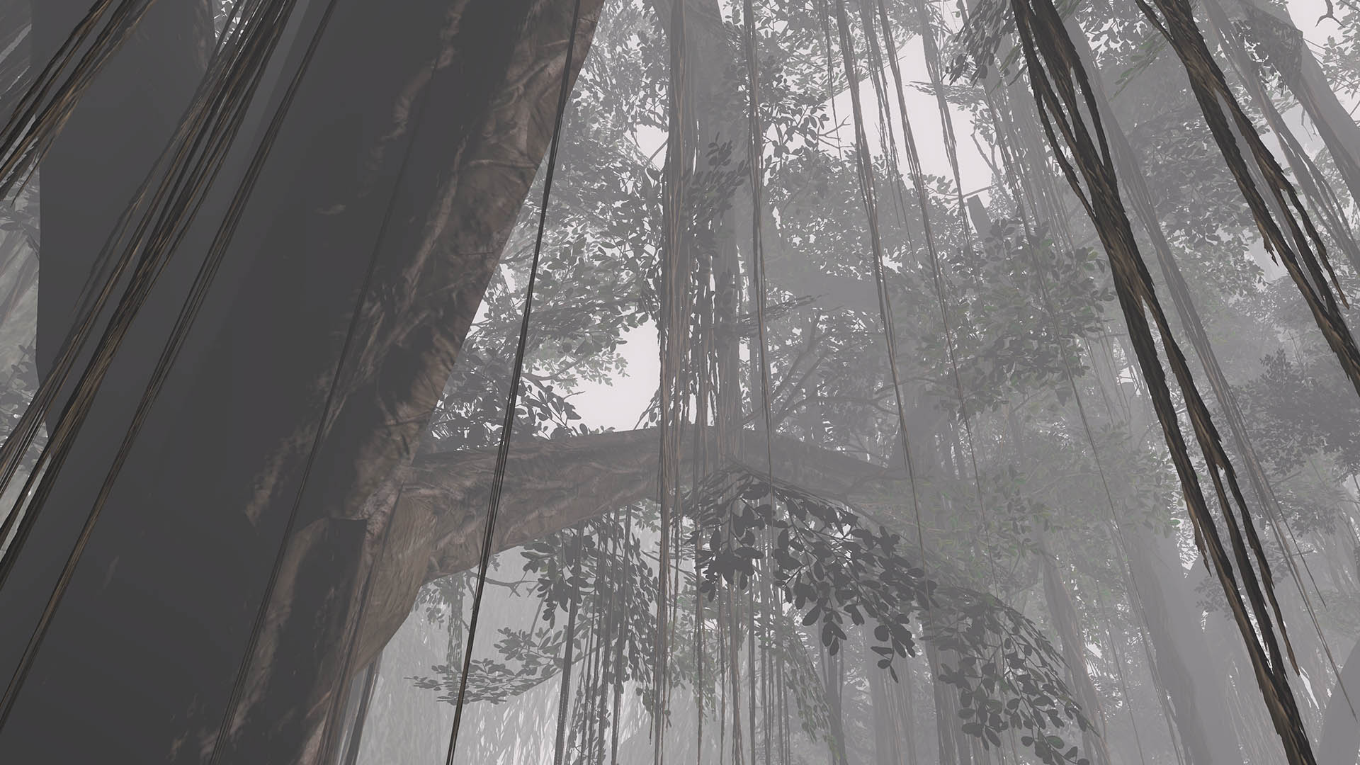 Image 139810