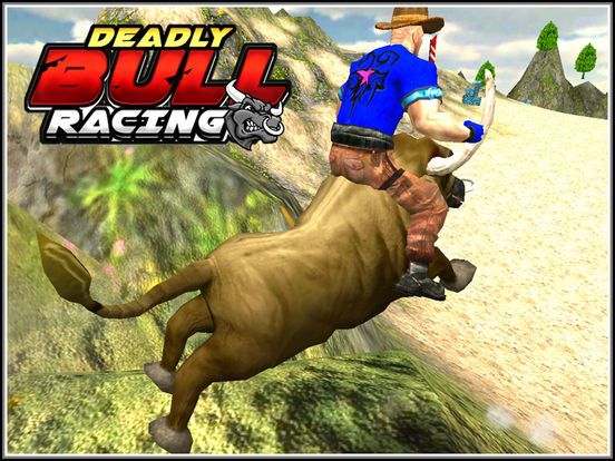 Bull Racing & Riding