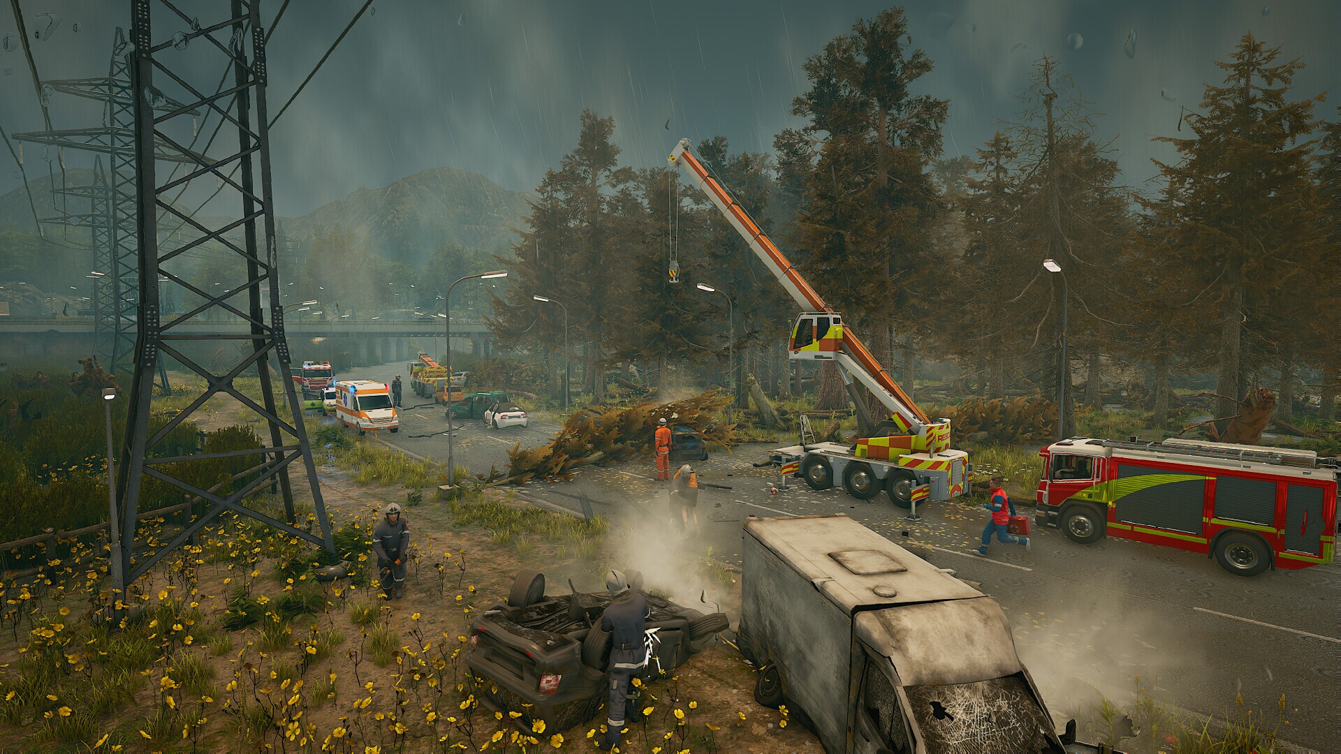Image 3916318