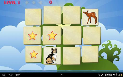 Forgetful Owl Premium