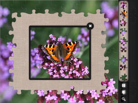 Jigsaw Puzzles: 9000+