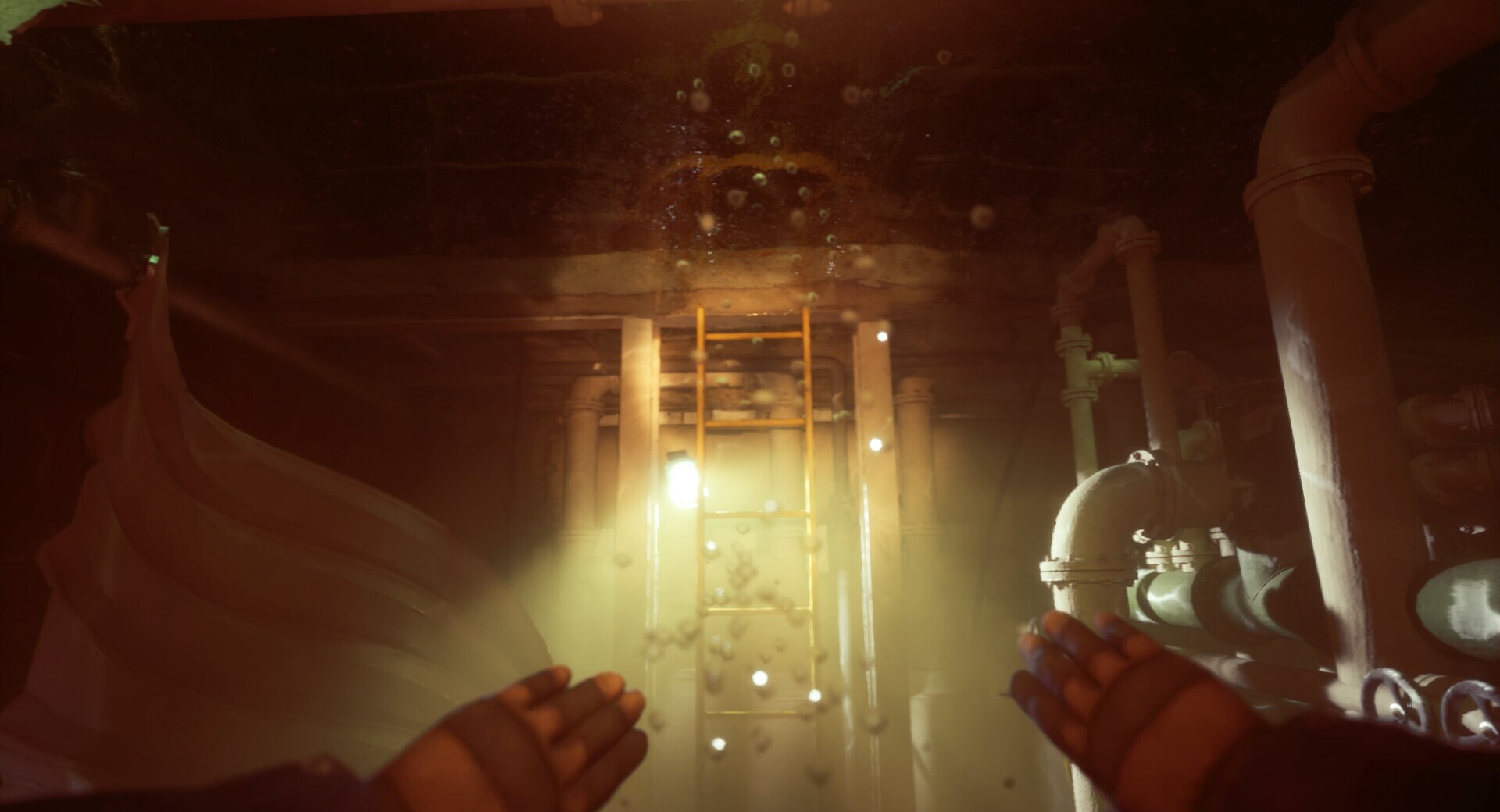 Image 4056713