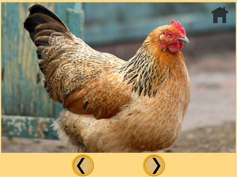 farm animals and games for kids - free game