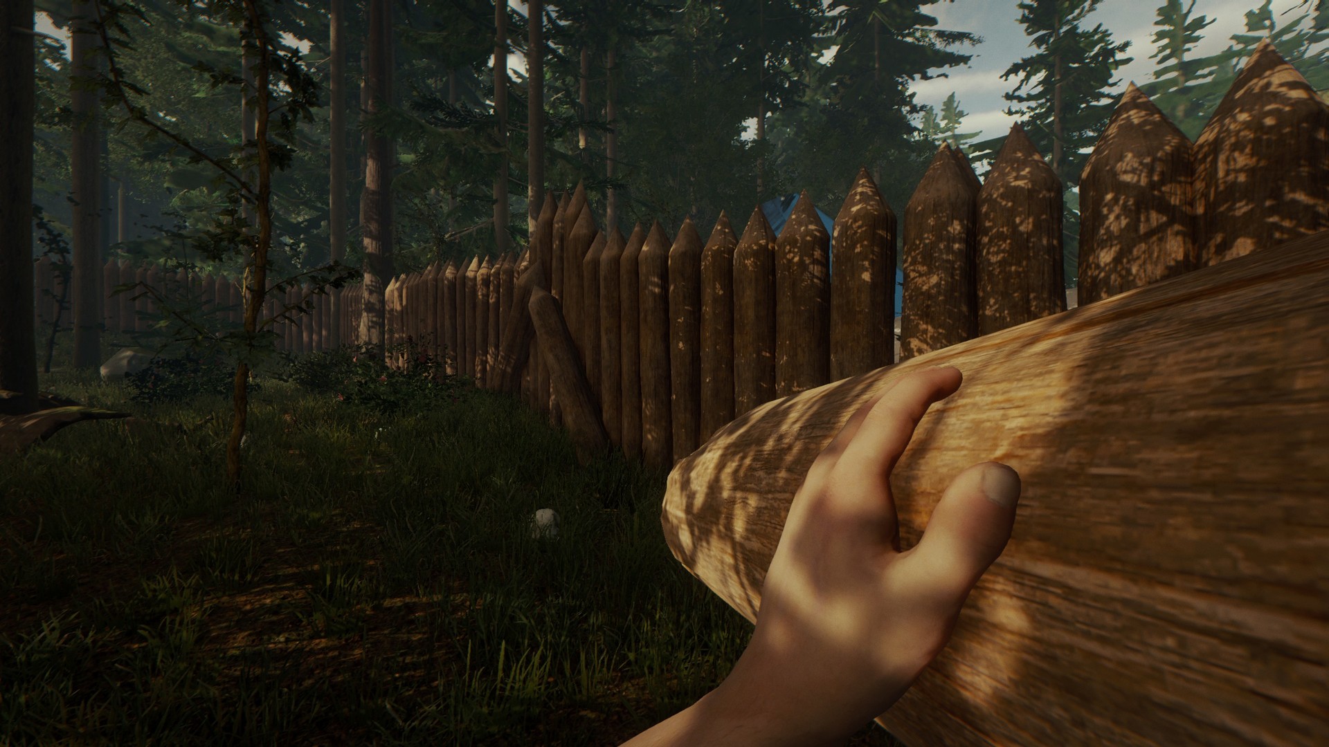 Как запустить the forest на directx 9