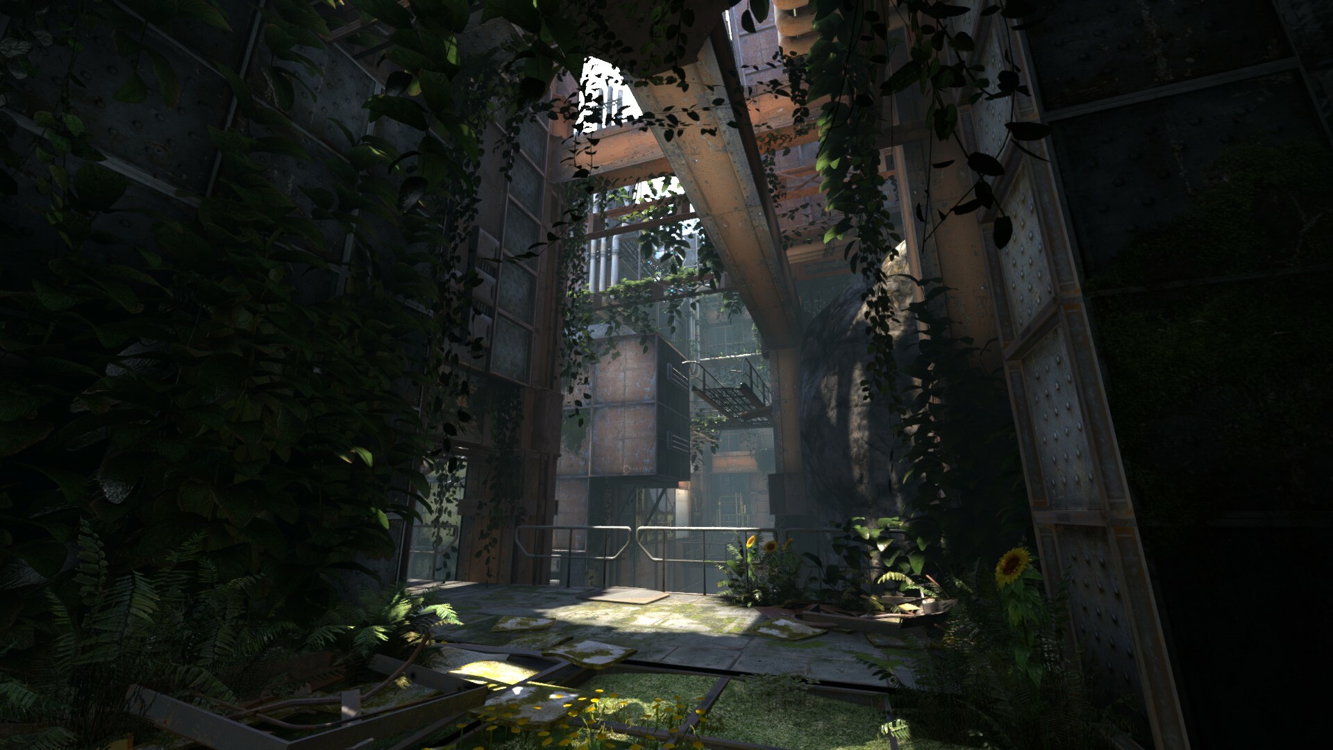 Image 3996510