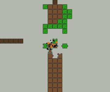 Pieces of the Puzzle