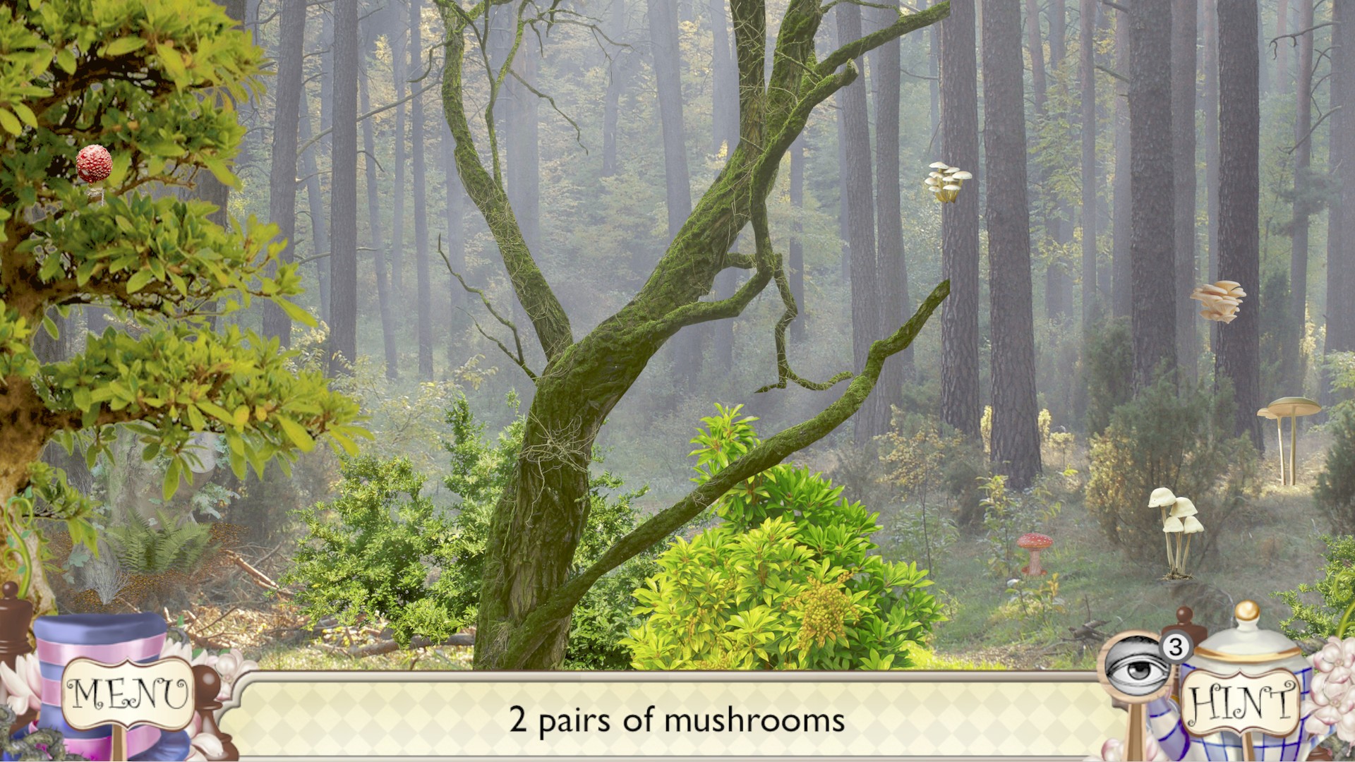 Alice's Adventures. Hidden Object