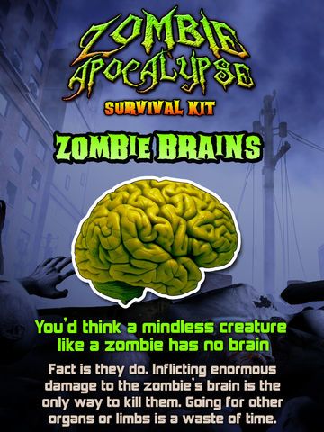 Zombie Apocalypse Survival Kit