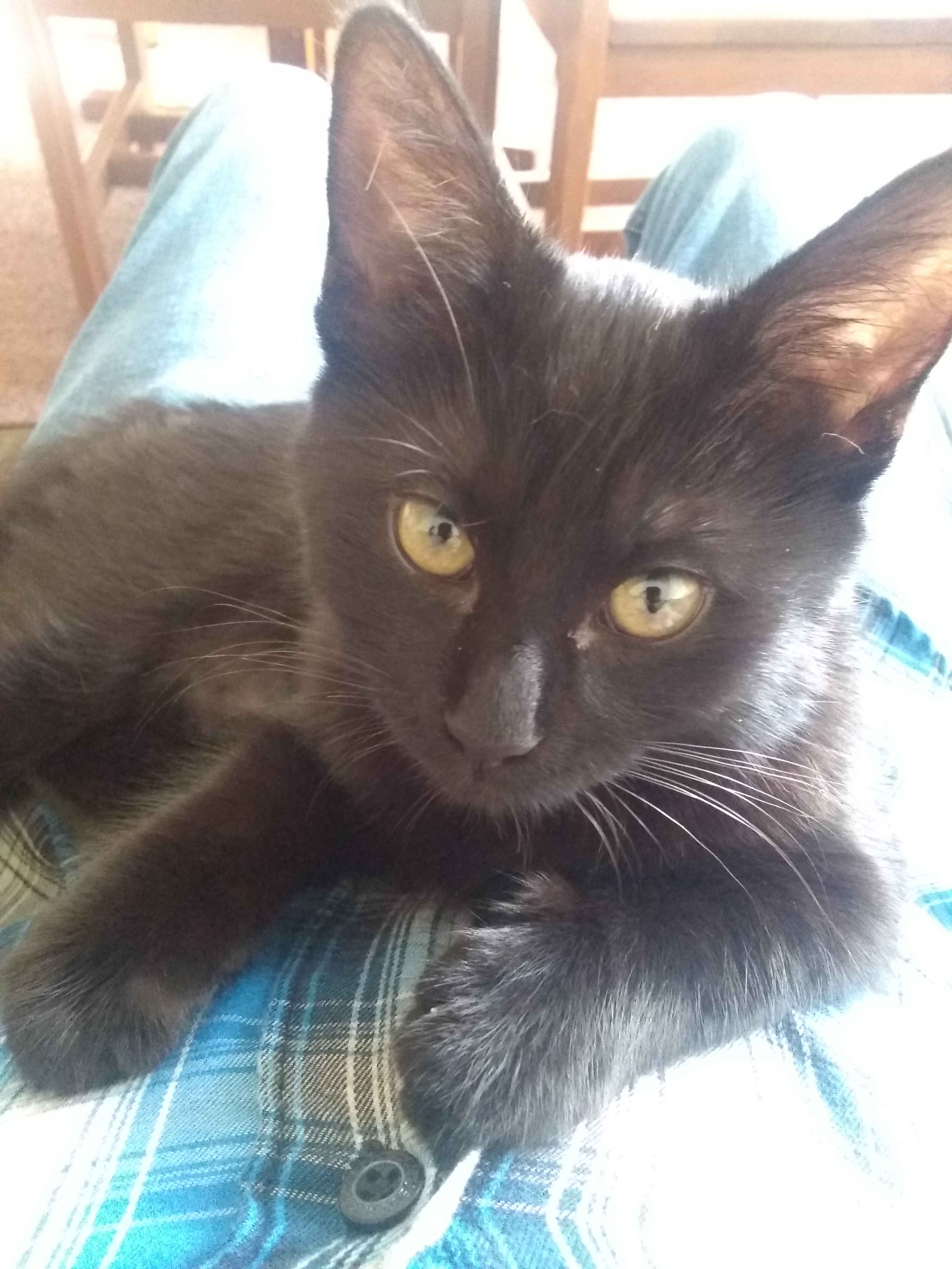 The Legend of Quatsi