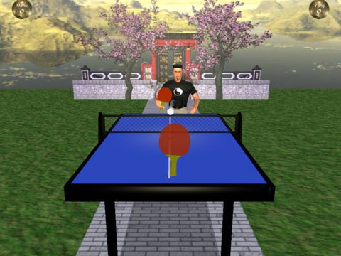 Zen Table Tennis