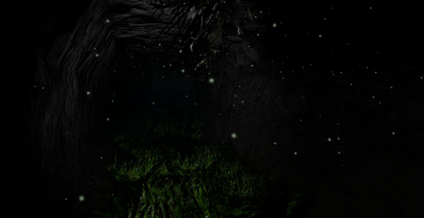 The Intrepid Explorer