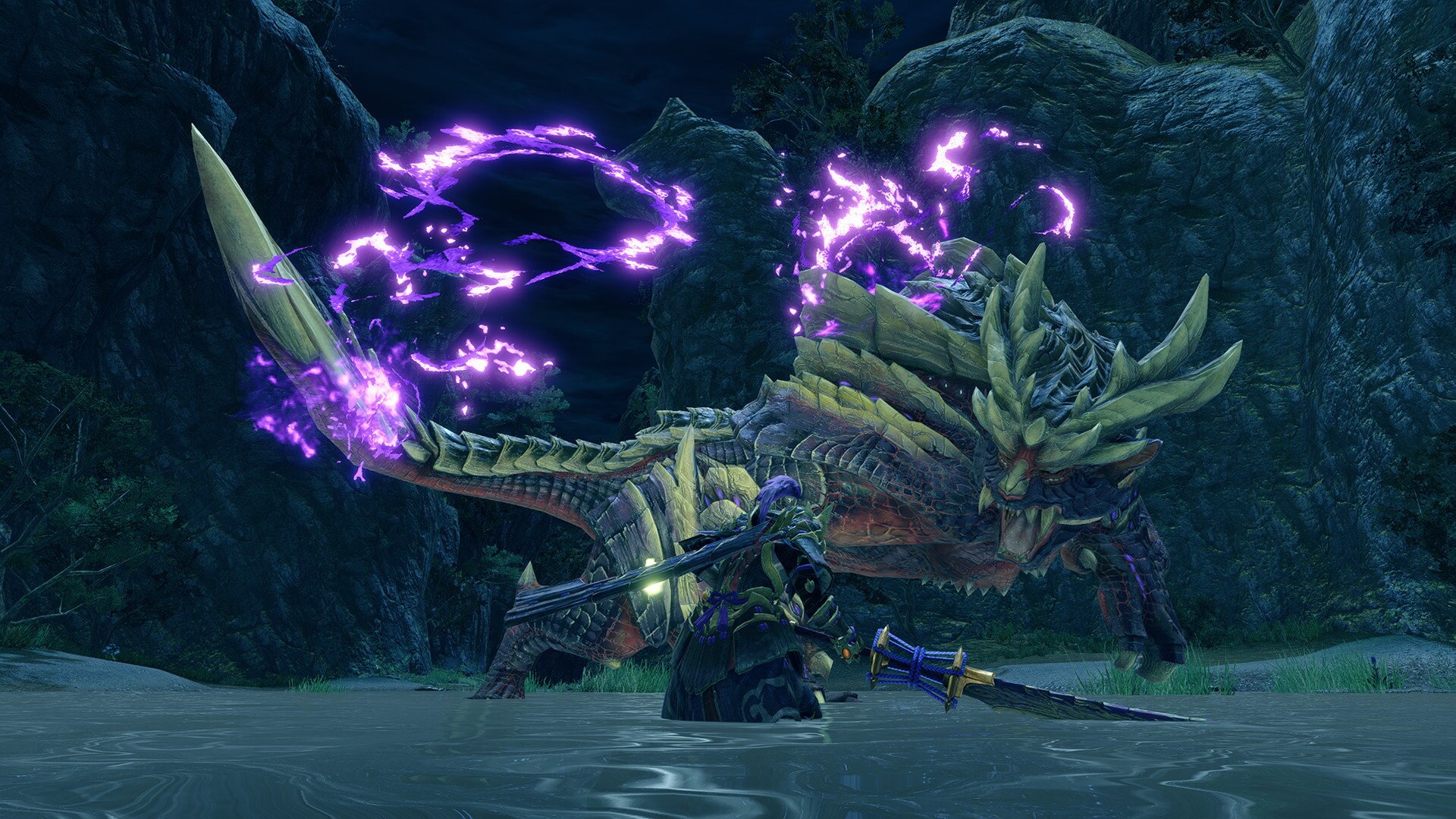 Image 3063633