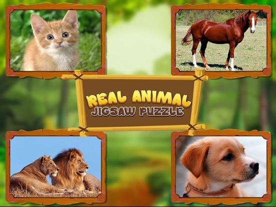 Animal Jigsaw Puzzles: puppy & cat puzzles
