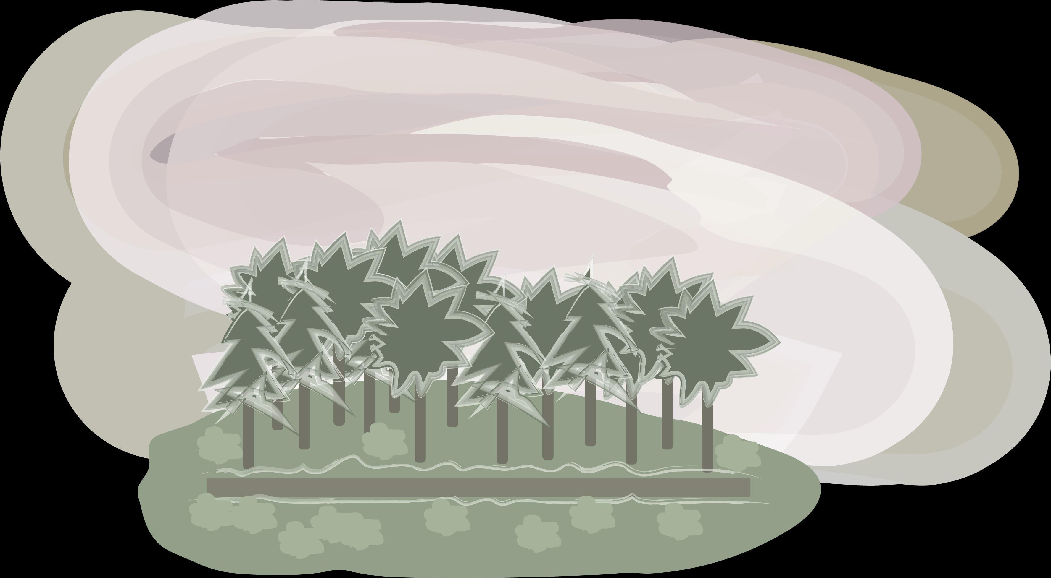 Goodbye In Summer /Rough Demo/