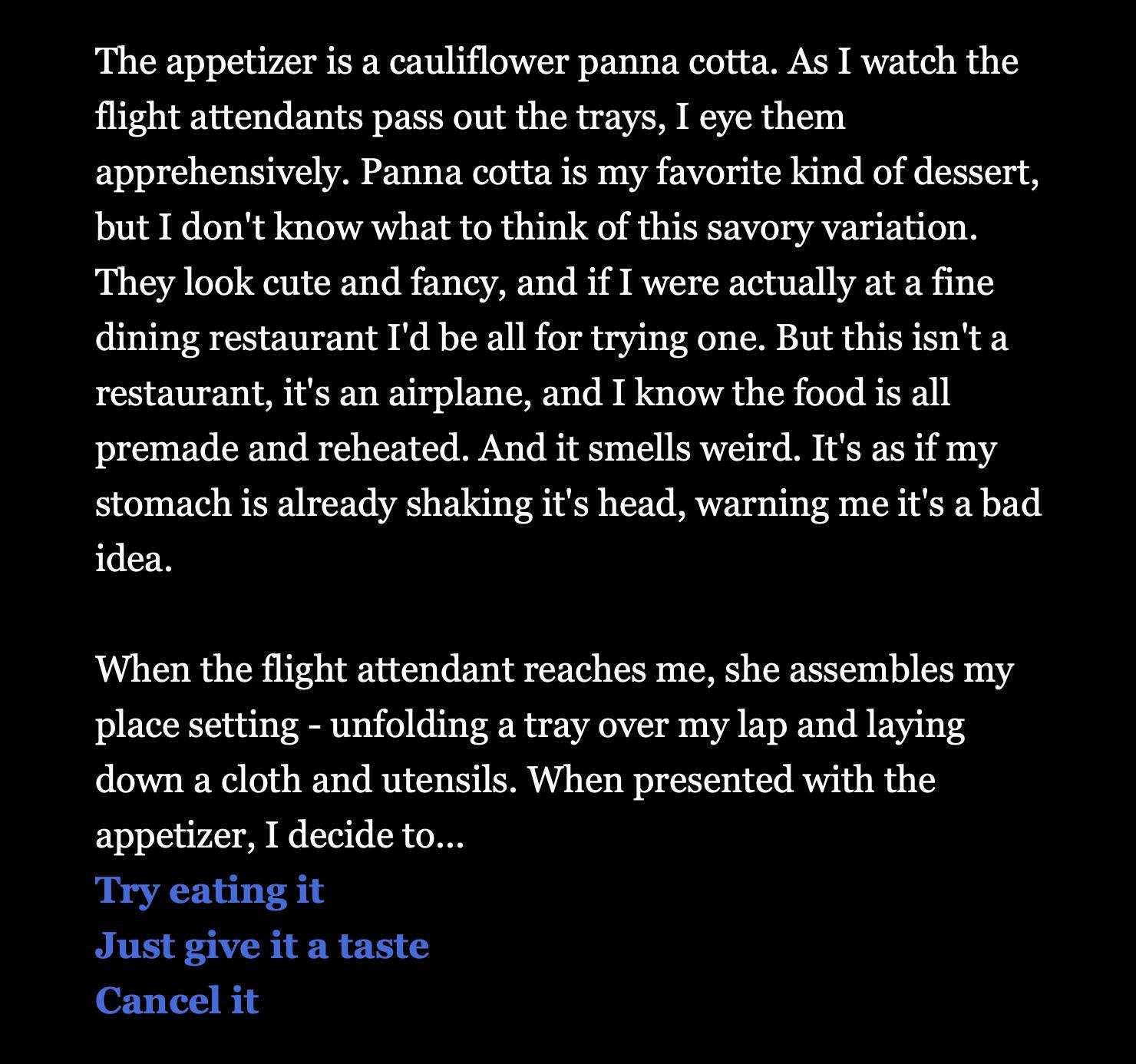 Business Class: A Travel Misadventure