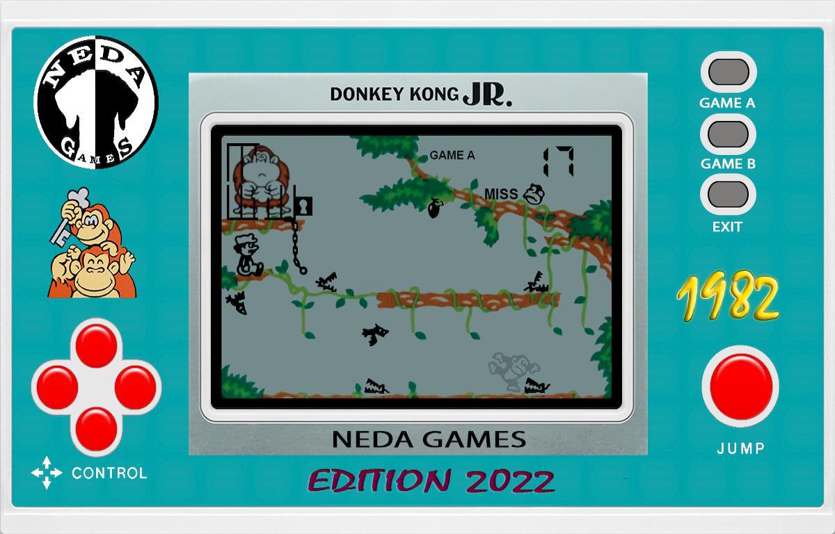 Donkey Kong JR