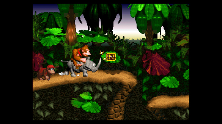 Donkey Kong Country