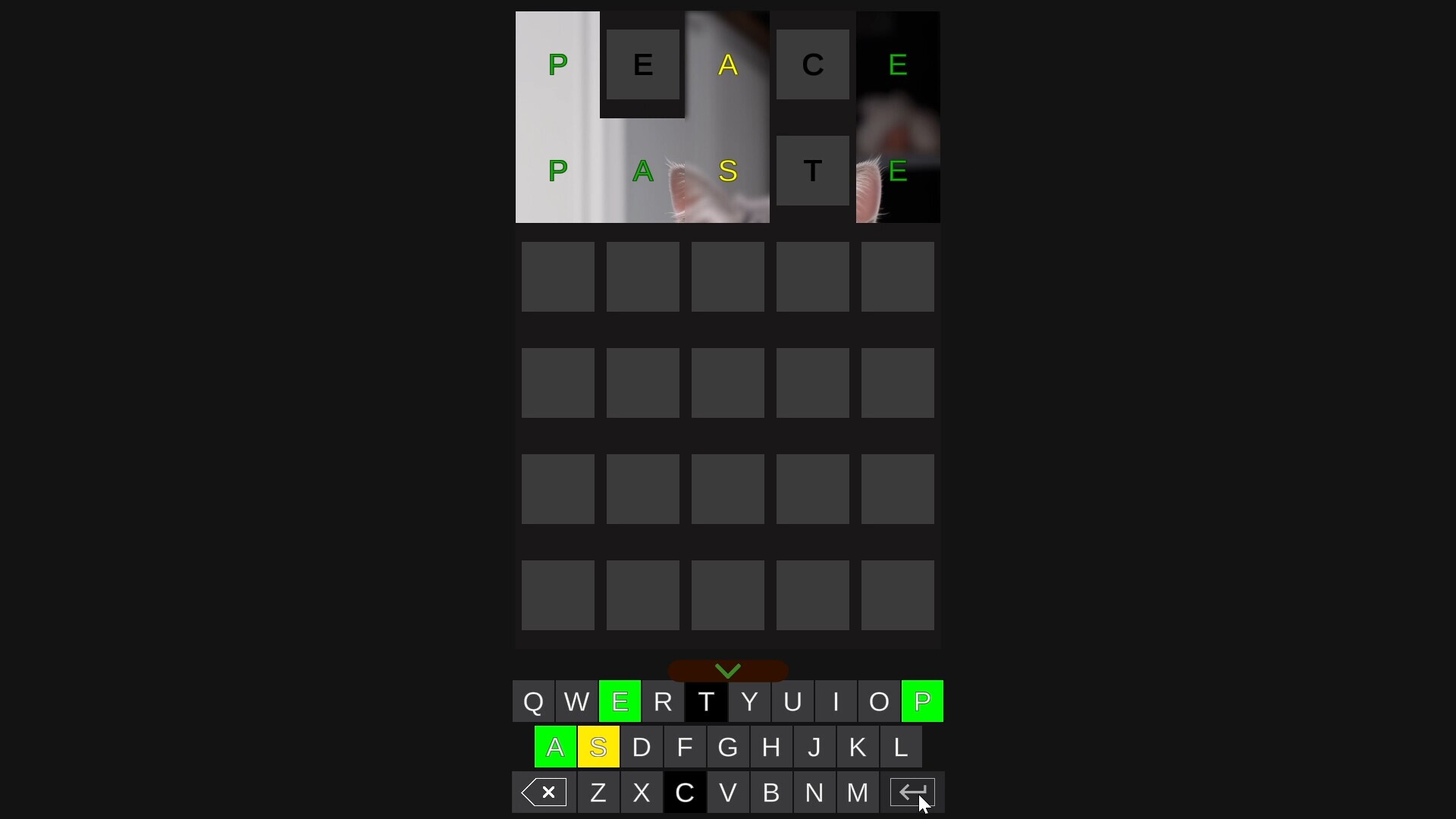 pWordle screenshot