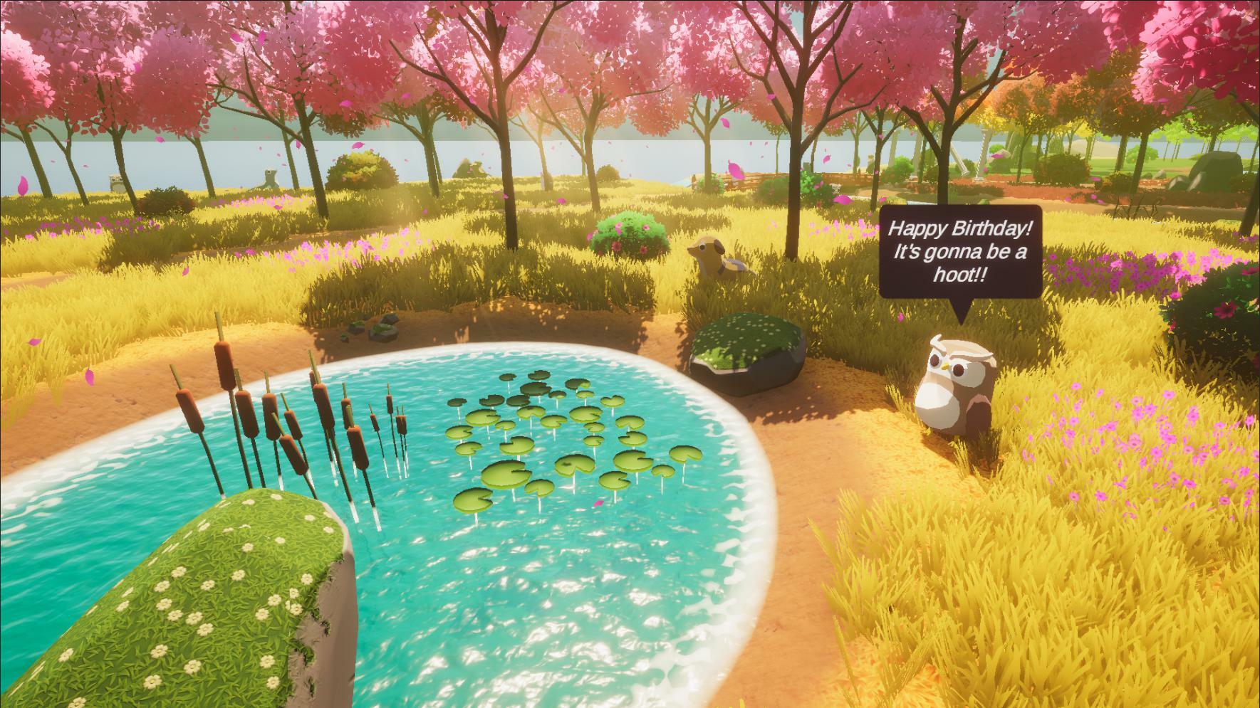 super birthday island