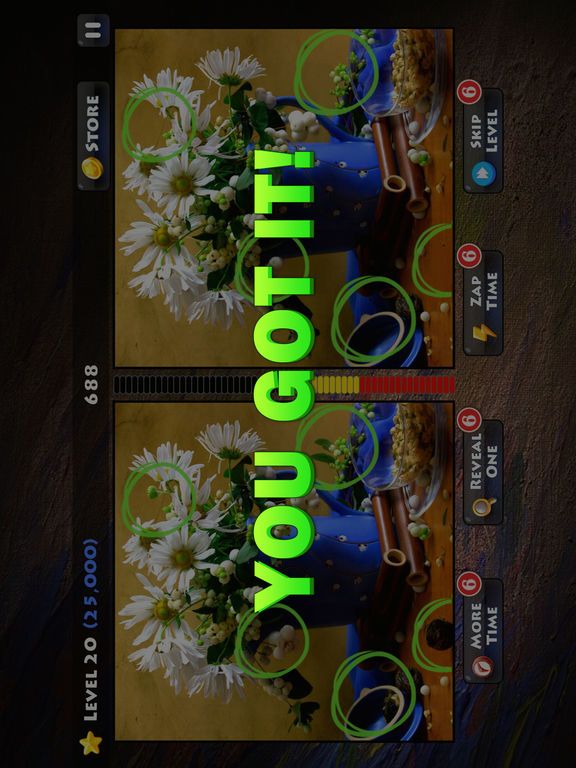 Spot The Difference? - Find the Hidden Objects