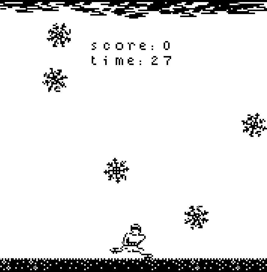 Ninja Winter Training