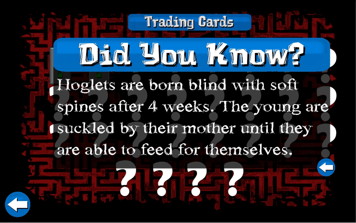 Rolling Hog Adventures