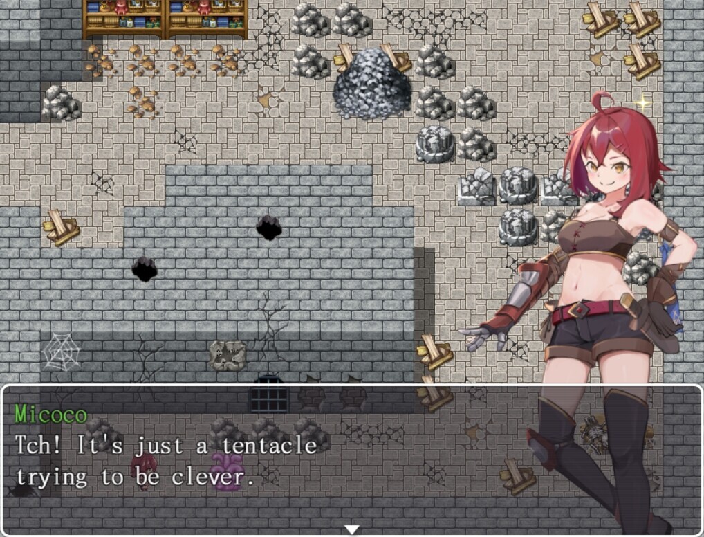 The Adventures of MICOCO