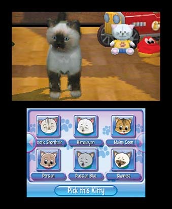 Purr Pals Purrfection