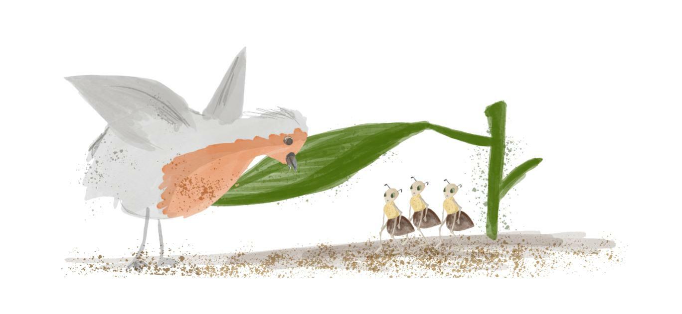 Ants - Text based game