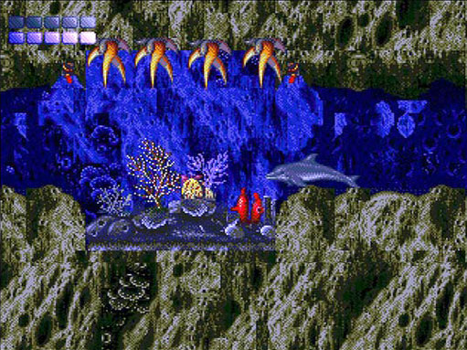 Image 248488