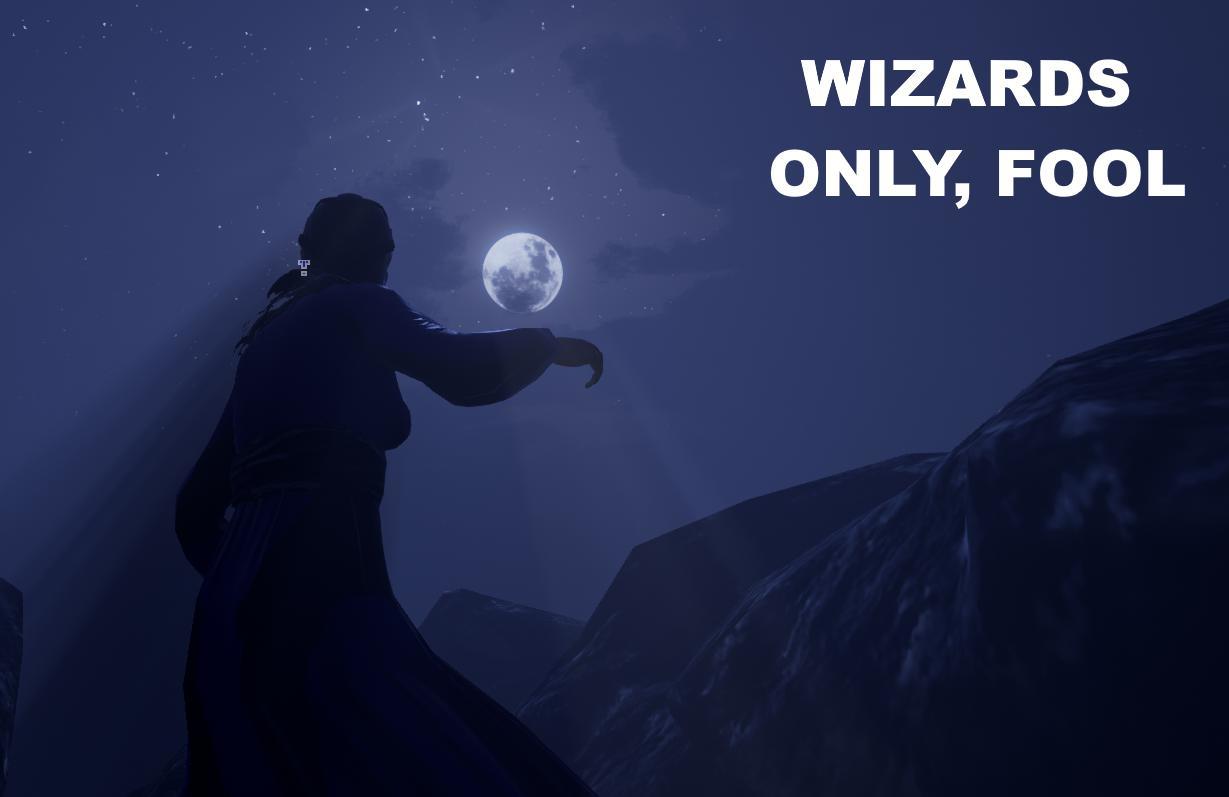 Wizard 10. Wizards only. Wizards only poster.