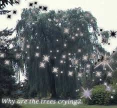 Childhood Memories (Chinyoka)