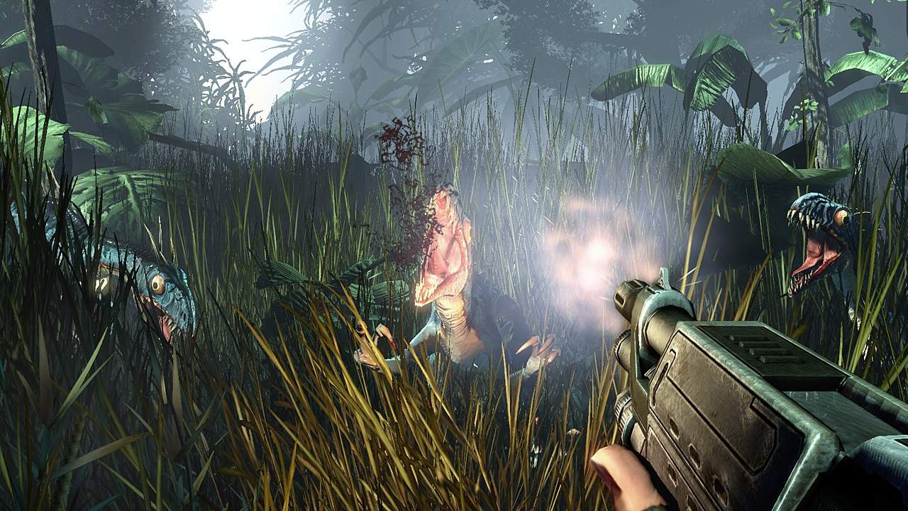 Turok (2008)