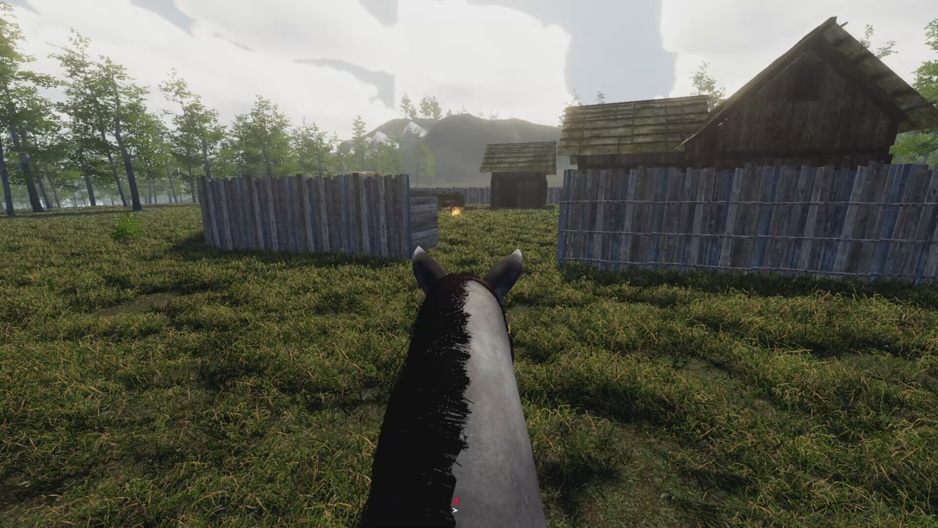 Image 4087372