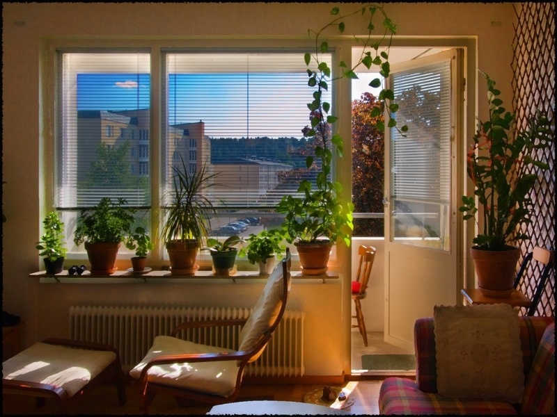 Black Circle: A Carol Reed Mystery