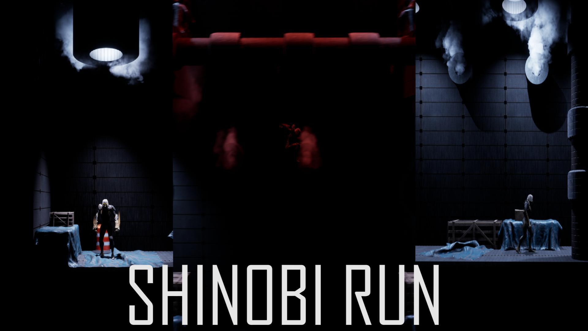 Shinobi Run