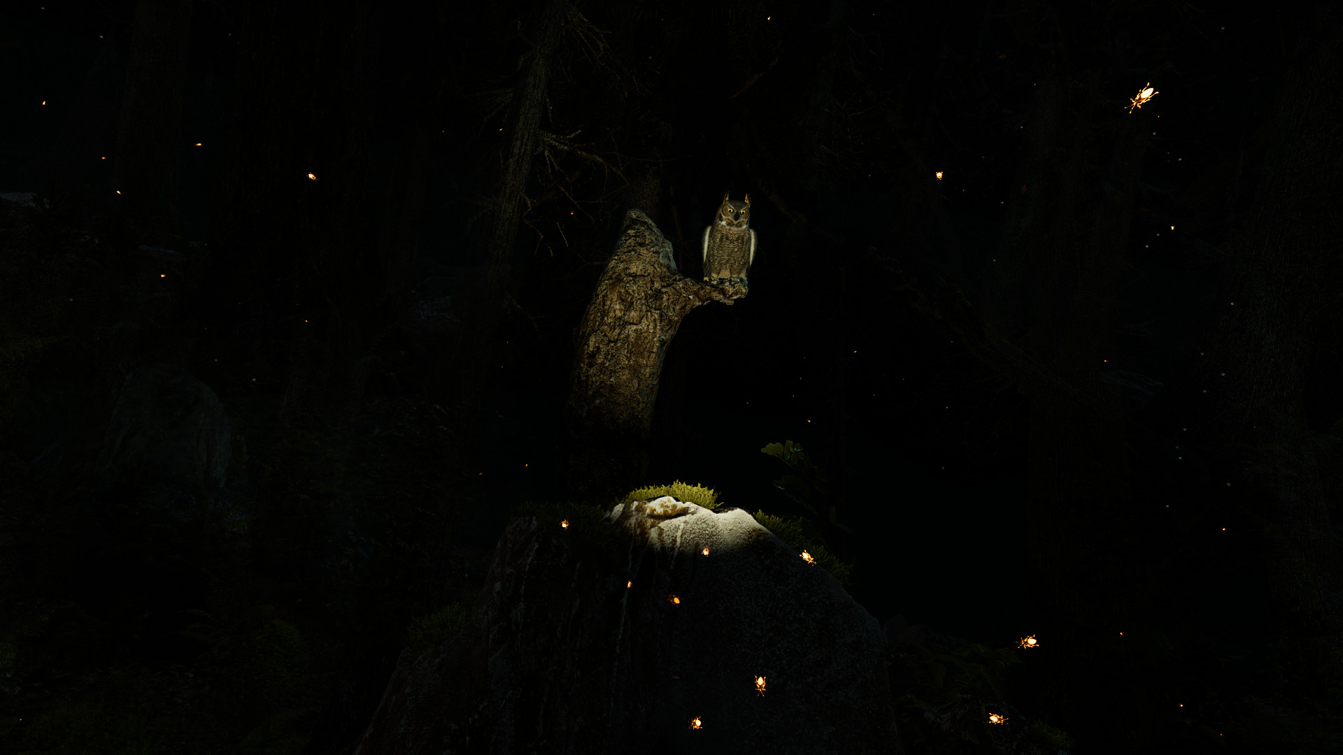 Image 714083